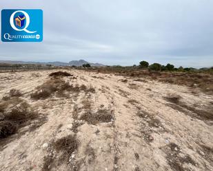 Residencial de lloguer en Mutxamel