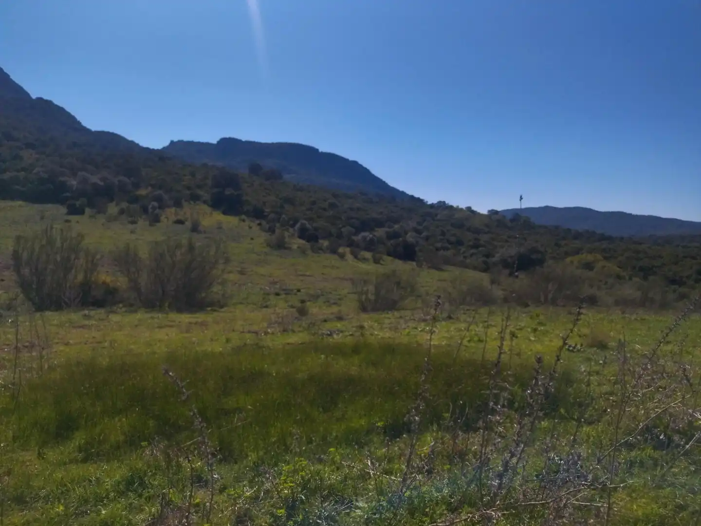 Terreno rustico in vendita a Ubrique, imagen 11