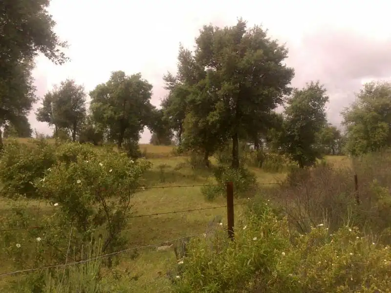 Casa rústica en venda a Valverde del Camino, imagen 10