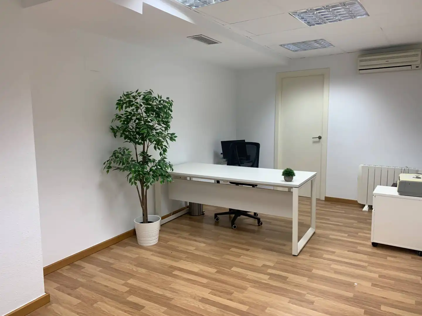 Büro zur Miete in Elche / Elx mit Möbliert