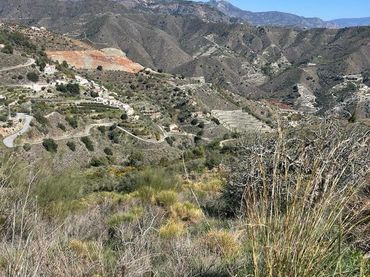 Terreno rustico in vendita a Viejo De Guerra