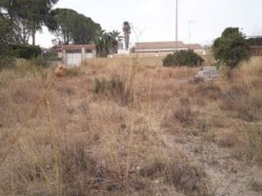 Terrain rustique à vendre à Plaça Poligono 20 39B