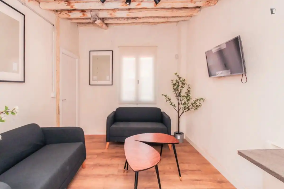 Room in Centre
