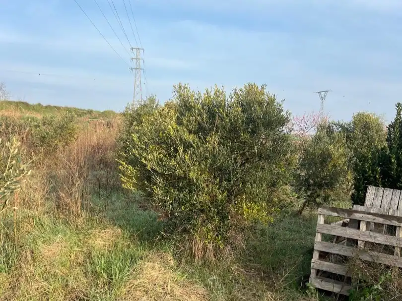 Terreno en venta en Figueruelas