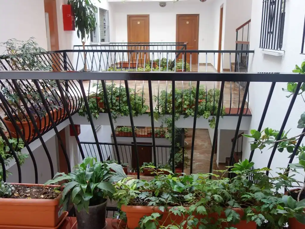 Flat for rent in El Morche