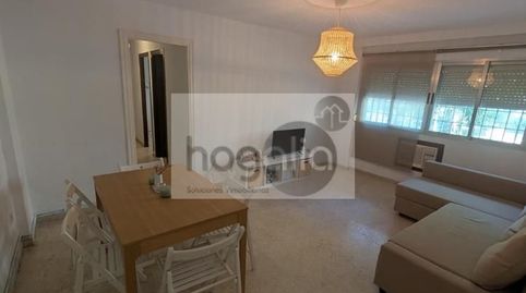 Foto 3 de Planta baja en venta en Pino Montano - Consolación, Sevilla Capital