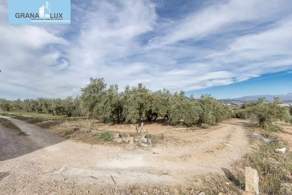 Terreno residencial en venta en Calle Pago de la Sierra