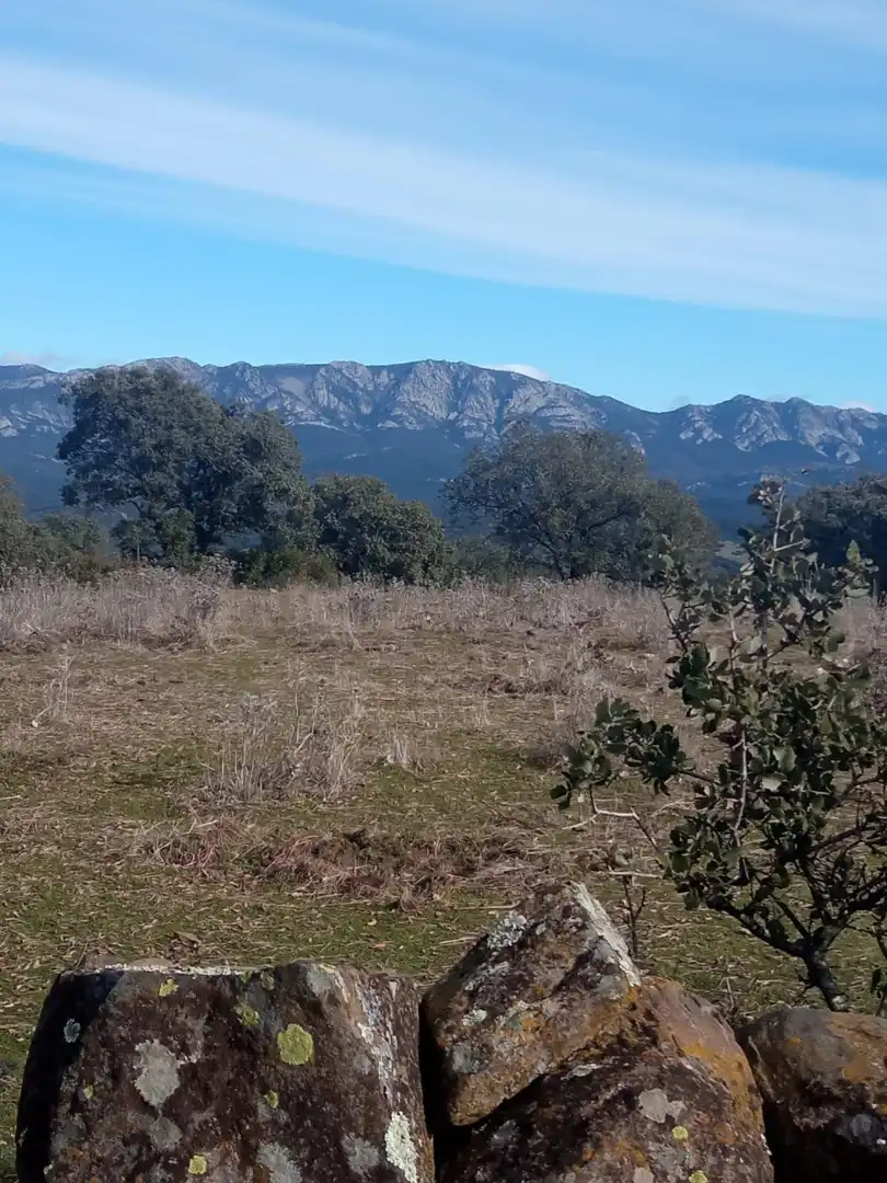 Finca rústica en venda en Cardeña