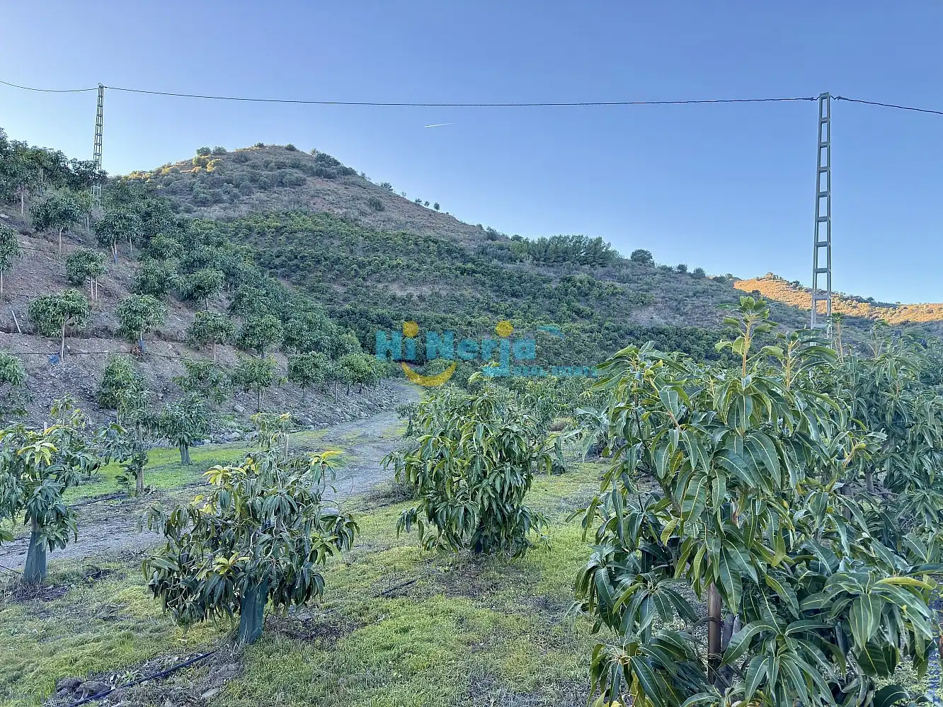 Terreni e lotti in vendita a Vélez-Málaga ciudad, imagen 19
