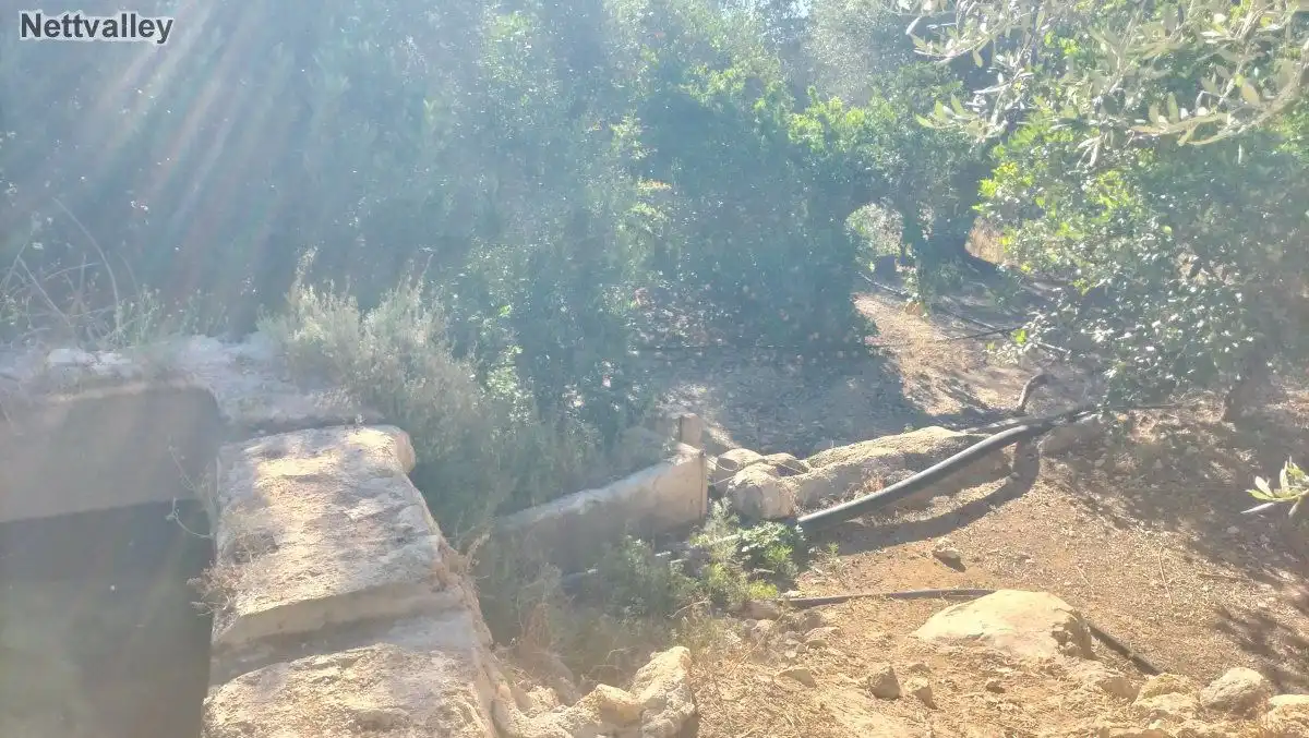 Terreni e lotti in vendita a LOMA DEL MEDIO, imagen 2