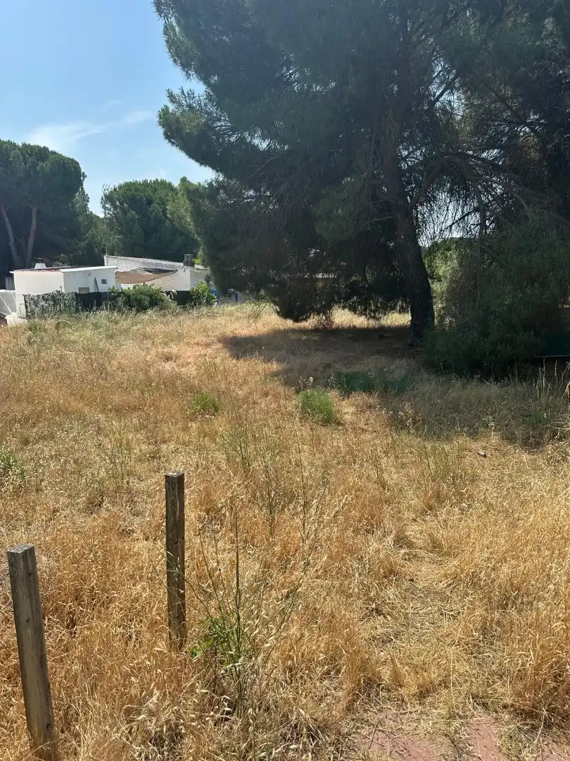 Finca rústica en venda en Traspinedo amb Jardí privat i Piscina