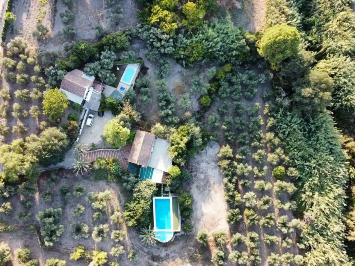 Finca rústica en venda en Morón de la Frontera