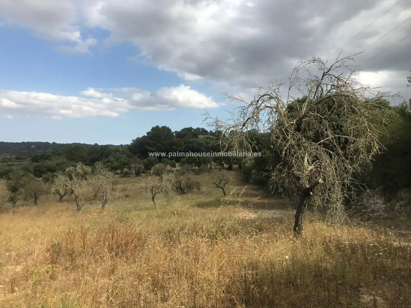 Finca rústica en venta en Maria de la Salut con Calefacción y Terraza