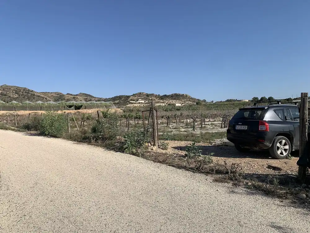 Terreno residencial en venta en Monforte del Cid, imagen 2
