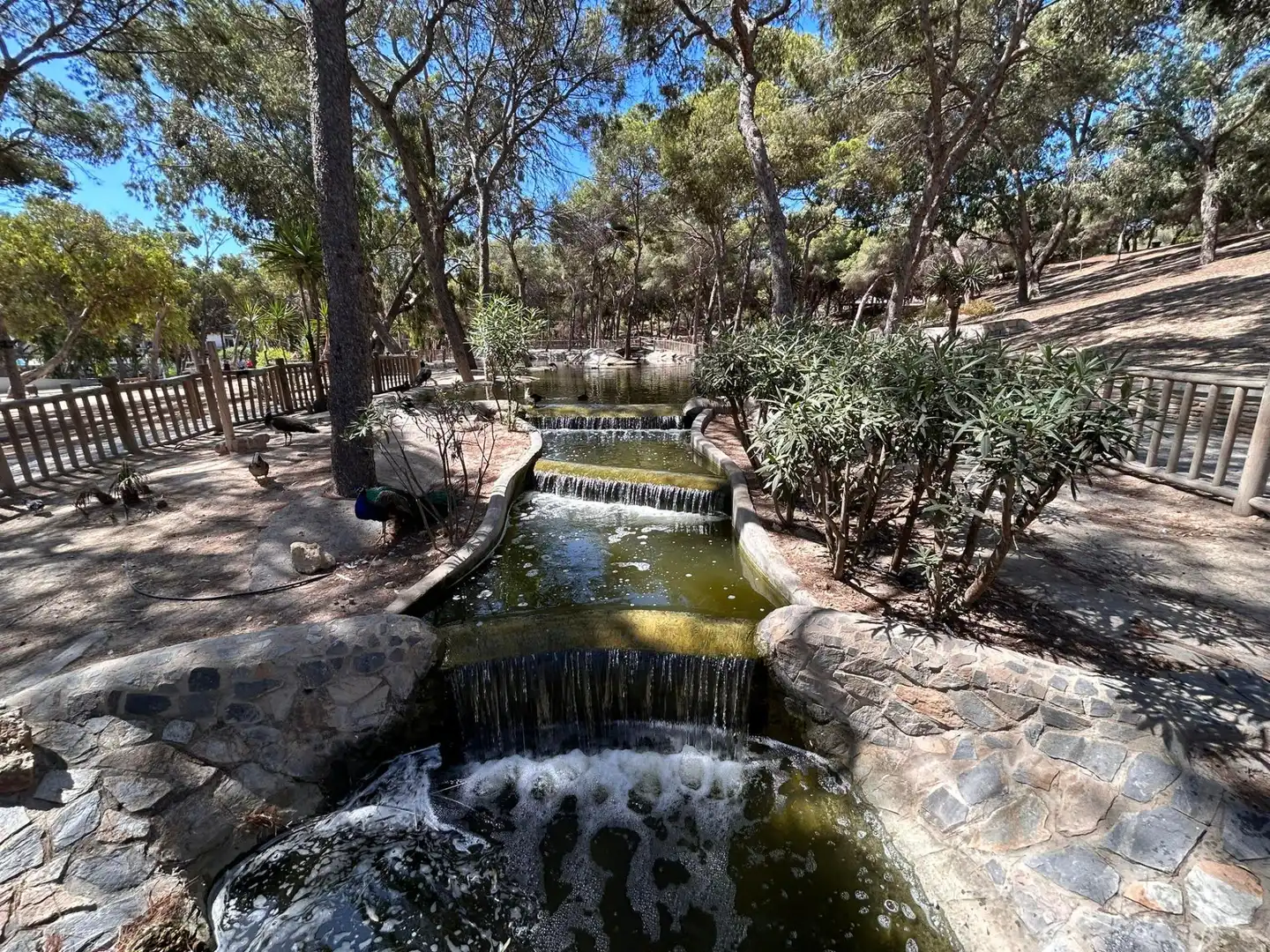 Apartamento en venta en Parcela ZR-35, Sector ZO-4, El Raso, 1, El Raso