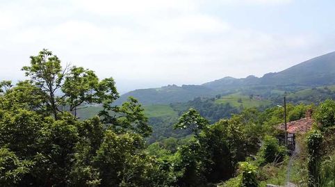 Foto 3 de Finca rústica en venta en Lugar Cofiño, 55, Parres, Asturias