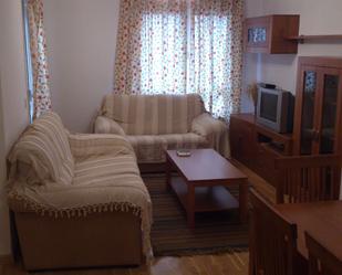 Sala d'estar de Apartament de lloguer en Ciudad Real Capital amb Aire condicionat