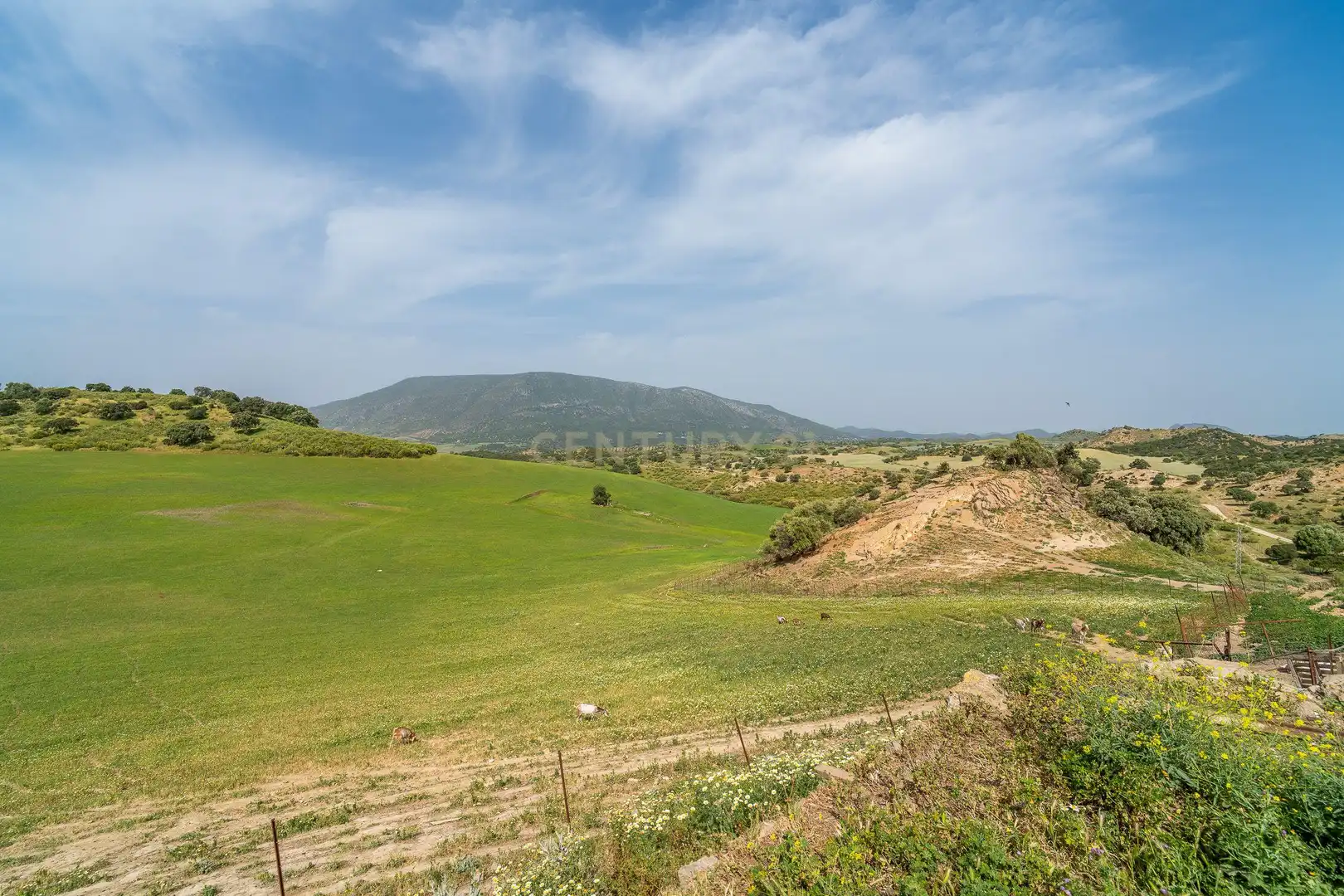 Casa in vendita a Olvera, Spain Polígono 24 Parcela 159 - La Mota, imagen 24