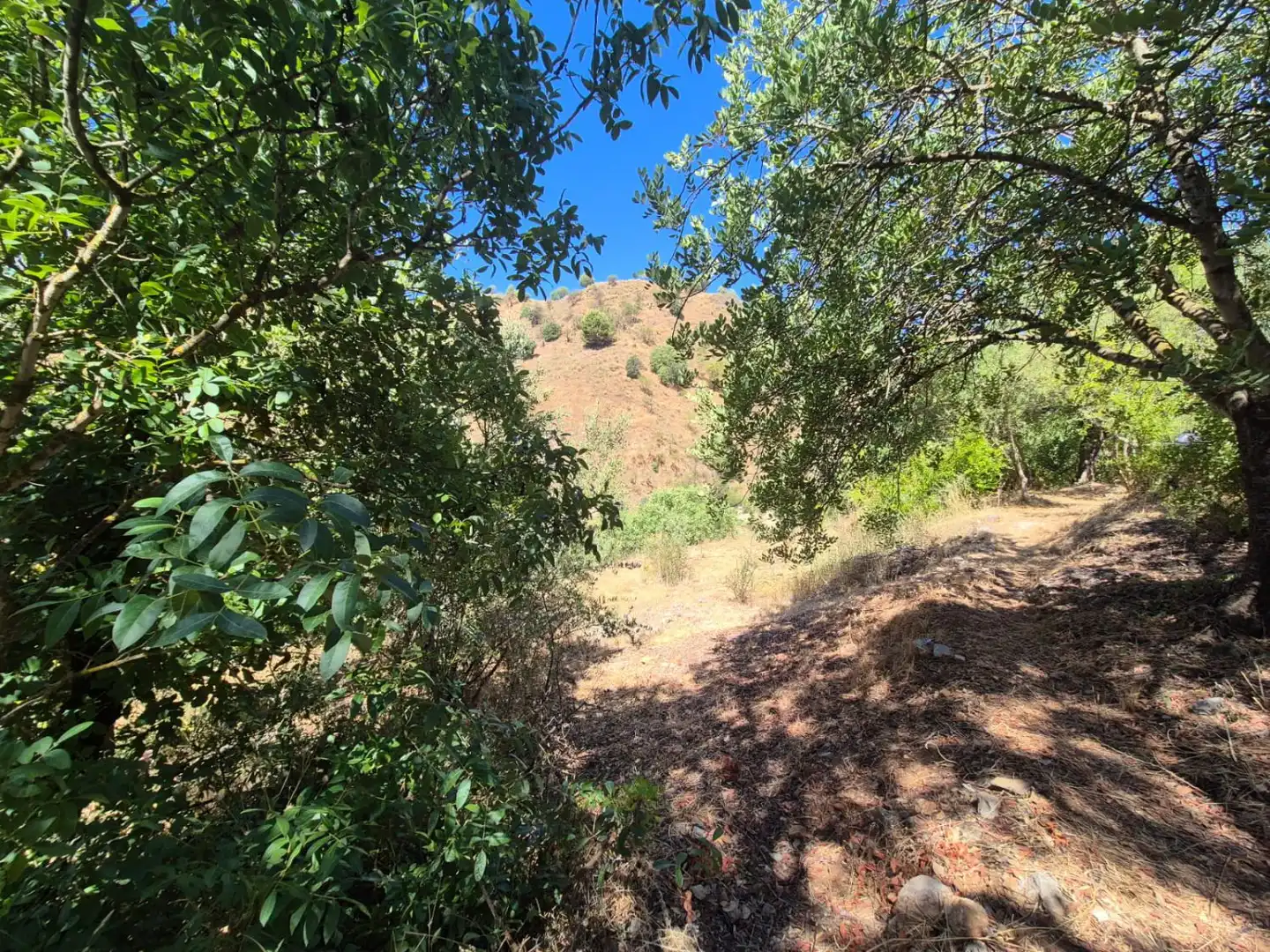 Finca rústica en venda en Guaro amb Calefacció, Terrassa i Traster