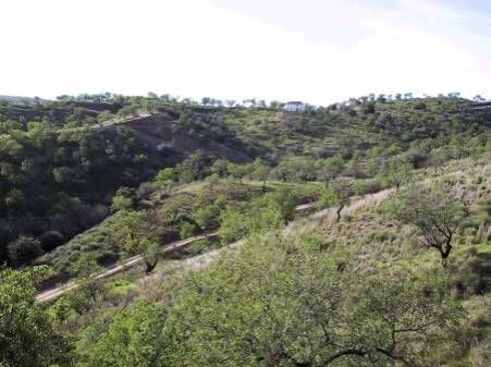 Terreno en Venta en Monda