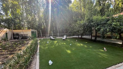 Foto 4 de Finca rústica en venta en Lezuza, Albacete