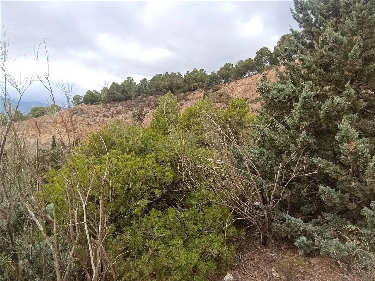 Terreno en venta en Carataunas