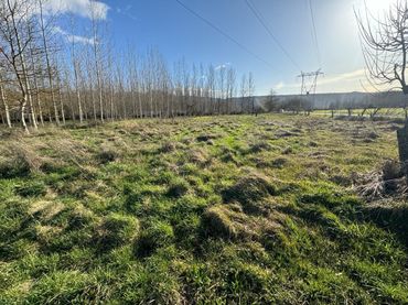 Terreno rustico in vendita a Flores de Sil - La Placa