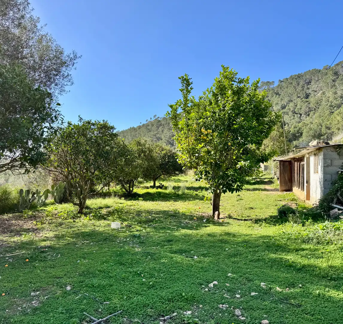 Casa rústica con terraza en venta en Carrer Pere Seriol 5, imagen 26