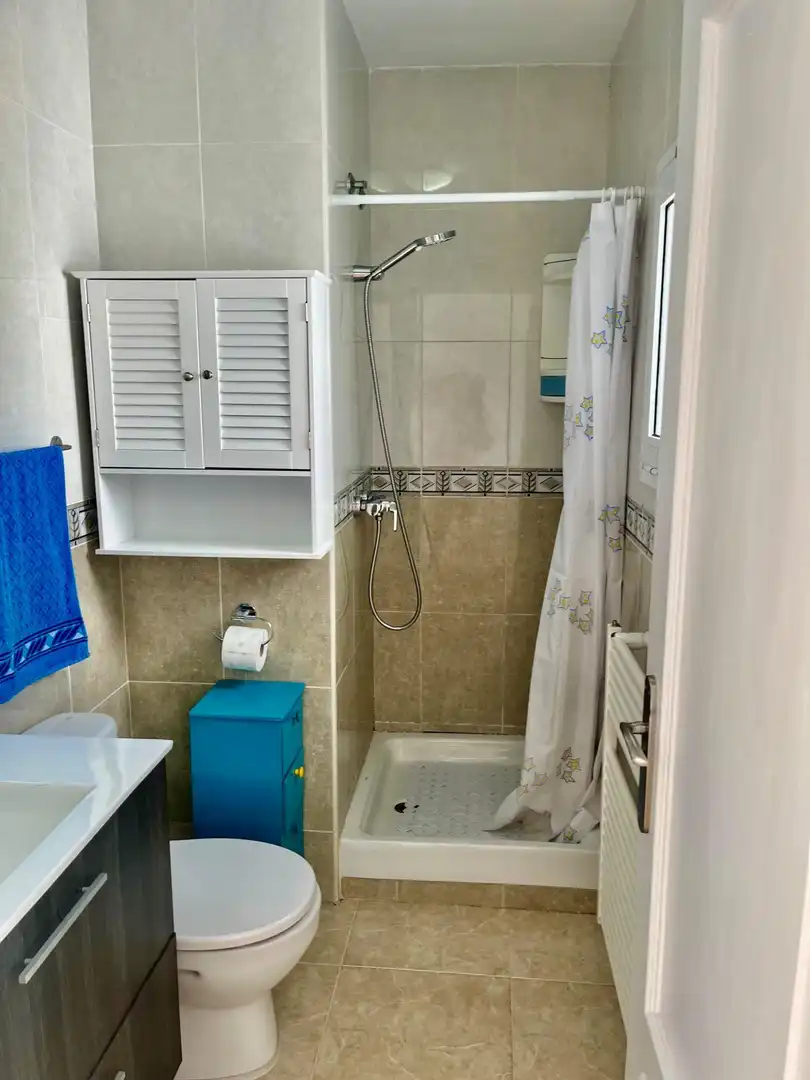 Casa pareada con terraza en venta en Avenida del Comte Gómez de Orbaneja, imagen 64