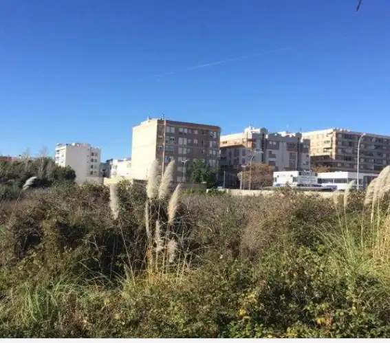 Rural land for sale in Sueca ciudad, imagen 7