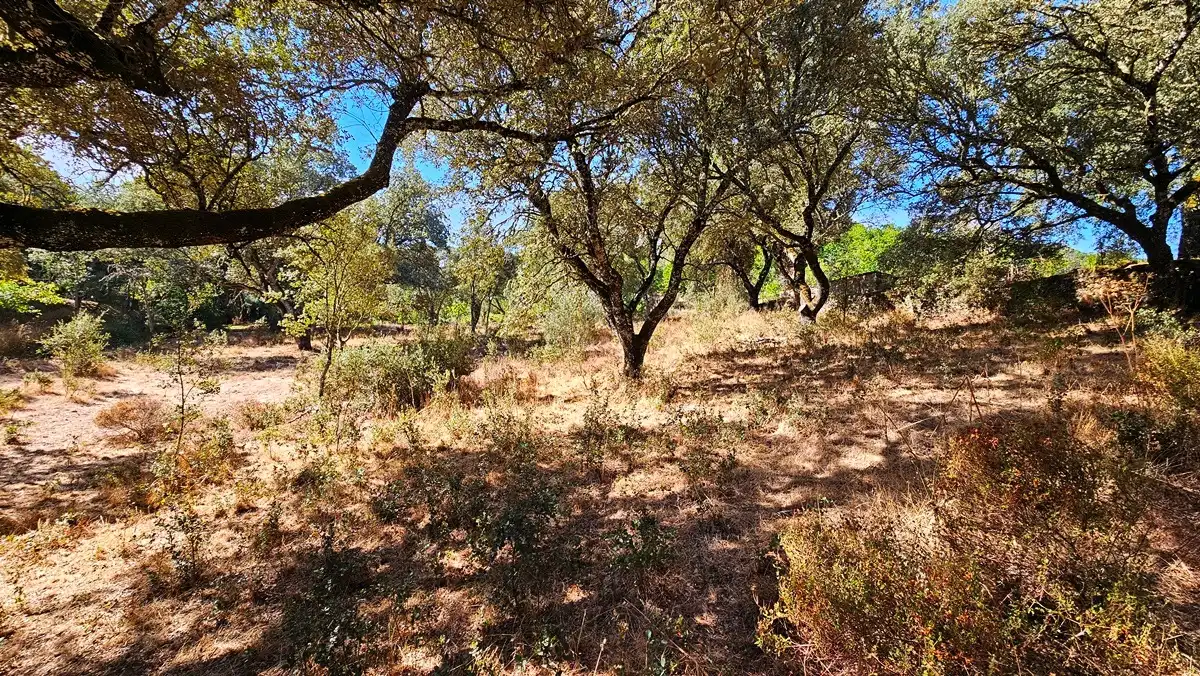 Terreno en venta en Los Marines