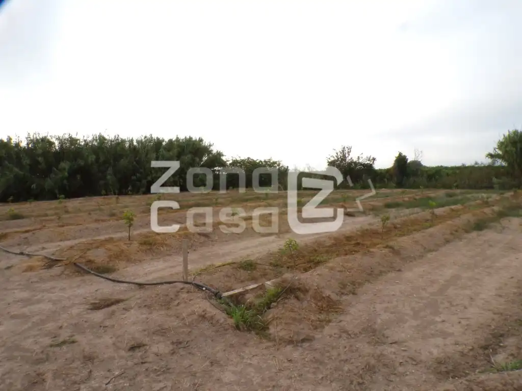 Casa rustica in vendita a Poligono 1 Paraje 48 Les Jovades, imagen 3