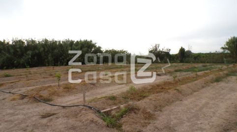 Foto 3 de Finca rústica en venta en Poligono 1 Paraje 48 Les Jovades, Albalat de la Ribera, Valencia