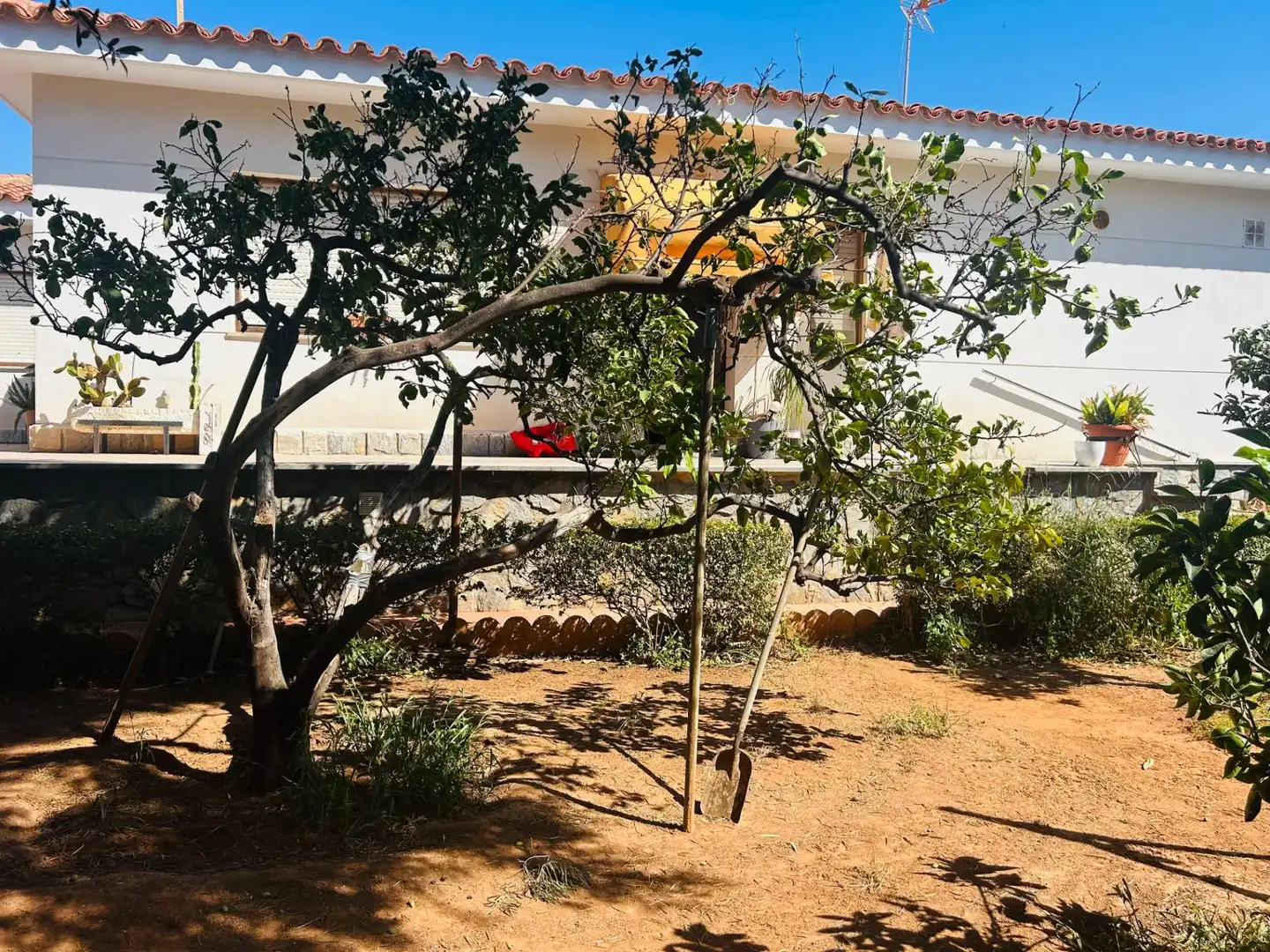 Jardín de Casa o chalet en venta en Cartagena con Aire acondicionado, Jardín privado y Terraza