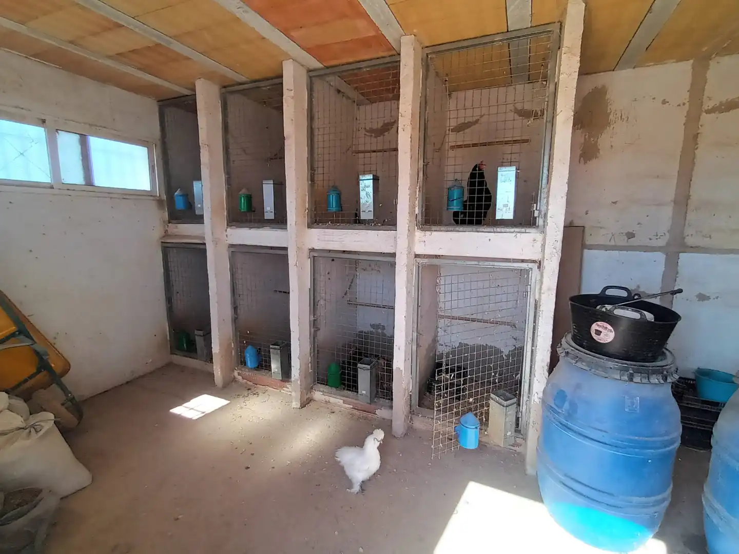 Terreno rustico in vendita a Pedanías Oeste, imagen 29