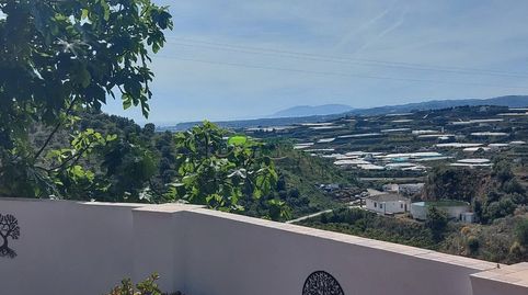 Foto 4 de Finca rústica de lloguer a Algarrobo pueblo, Algarrobo