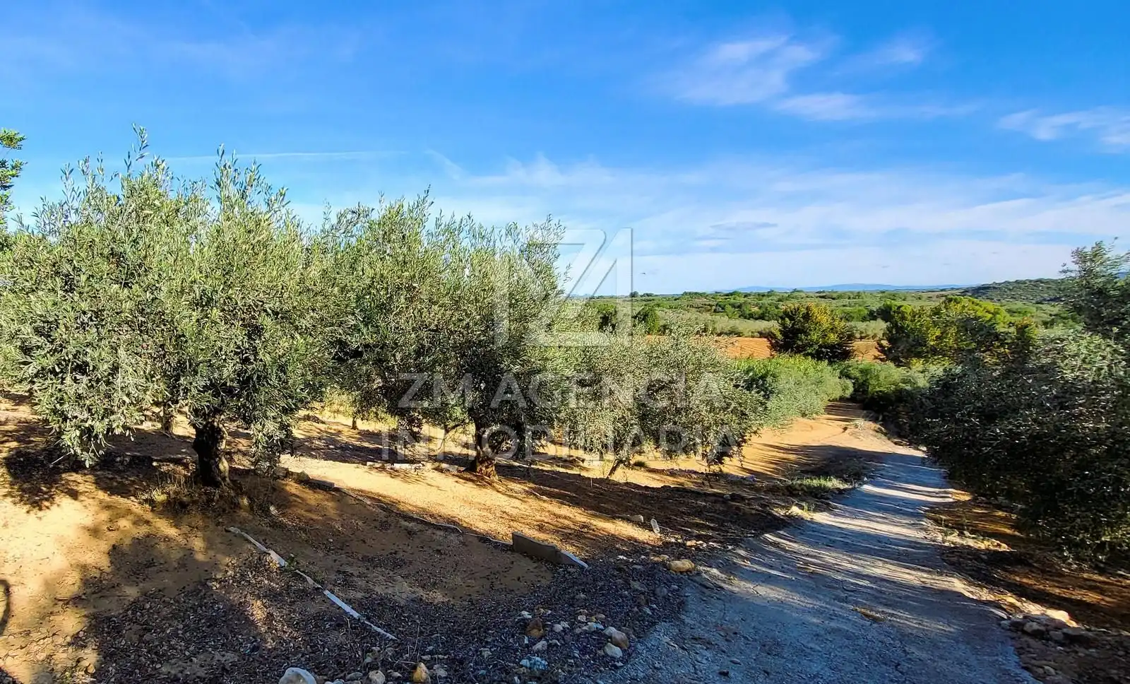 Casa rústica en venta en Traiguera, imagen 8