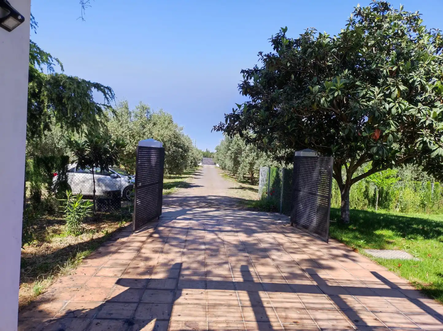 Vista exterior de Casa o chalet en venta en Ciudad Real con Aire acondicionado, Calefacción y Jardín privado
