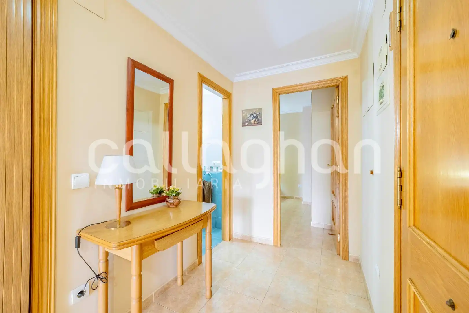 Piso con ascensor en venta en Sur, imagen 21