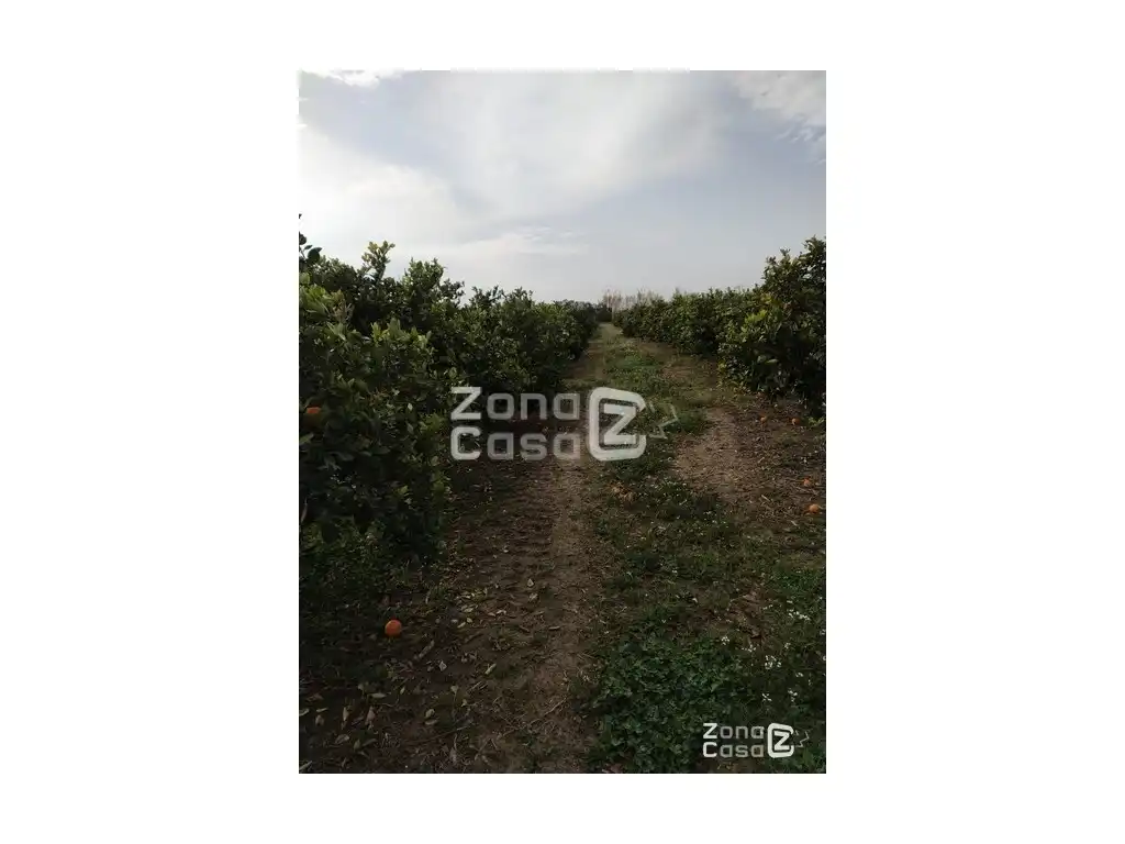 Country house for sale in Algemesí, imagen 5