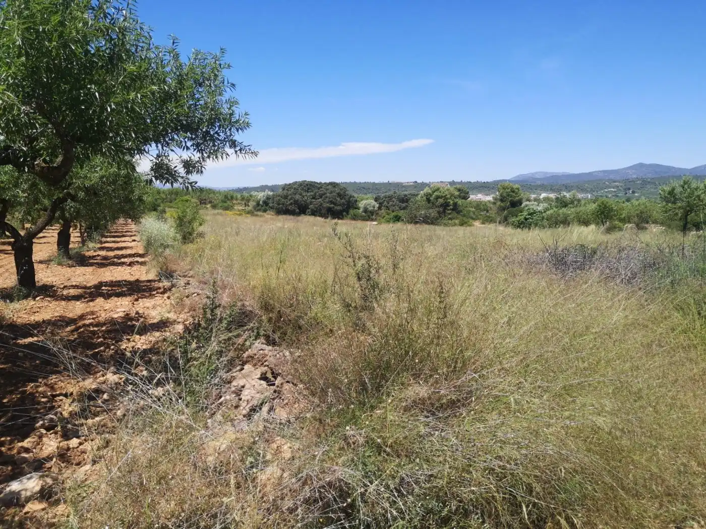 Terreny rústic en venda a Vall d'Alba, imagen 2