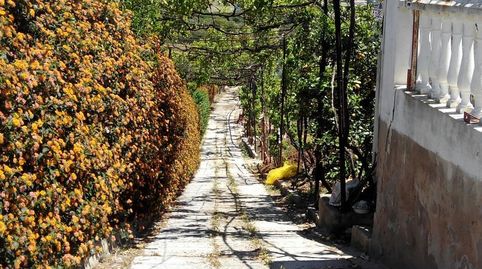 Foto 4 de Finca rústica en venta en Goya, Estación de Cártama, Cártama