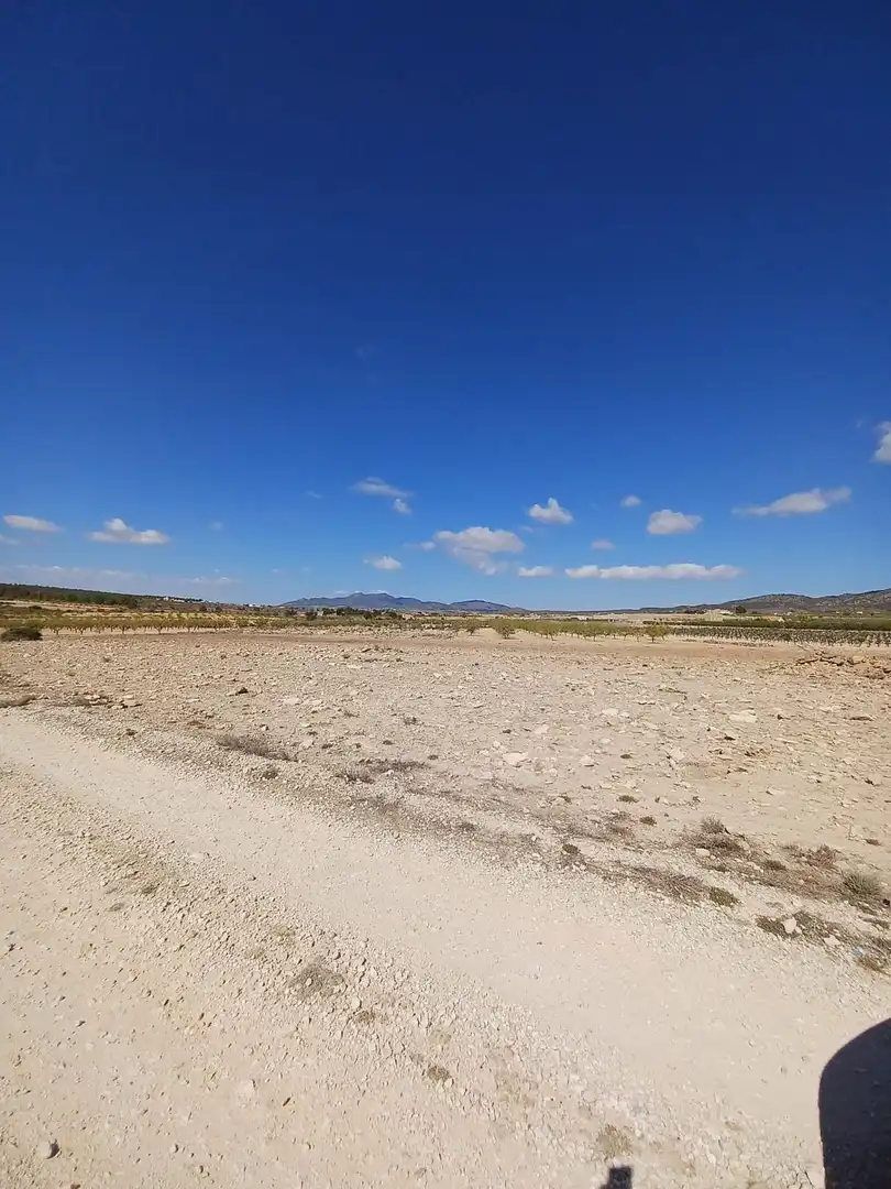 Terreny residencial en venda a El Pinós / Pinoso, imagen 5