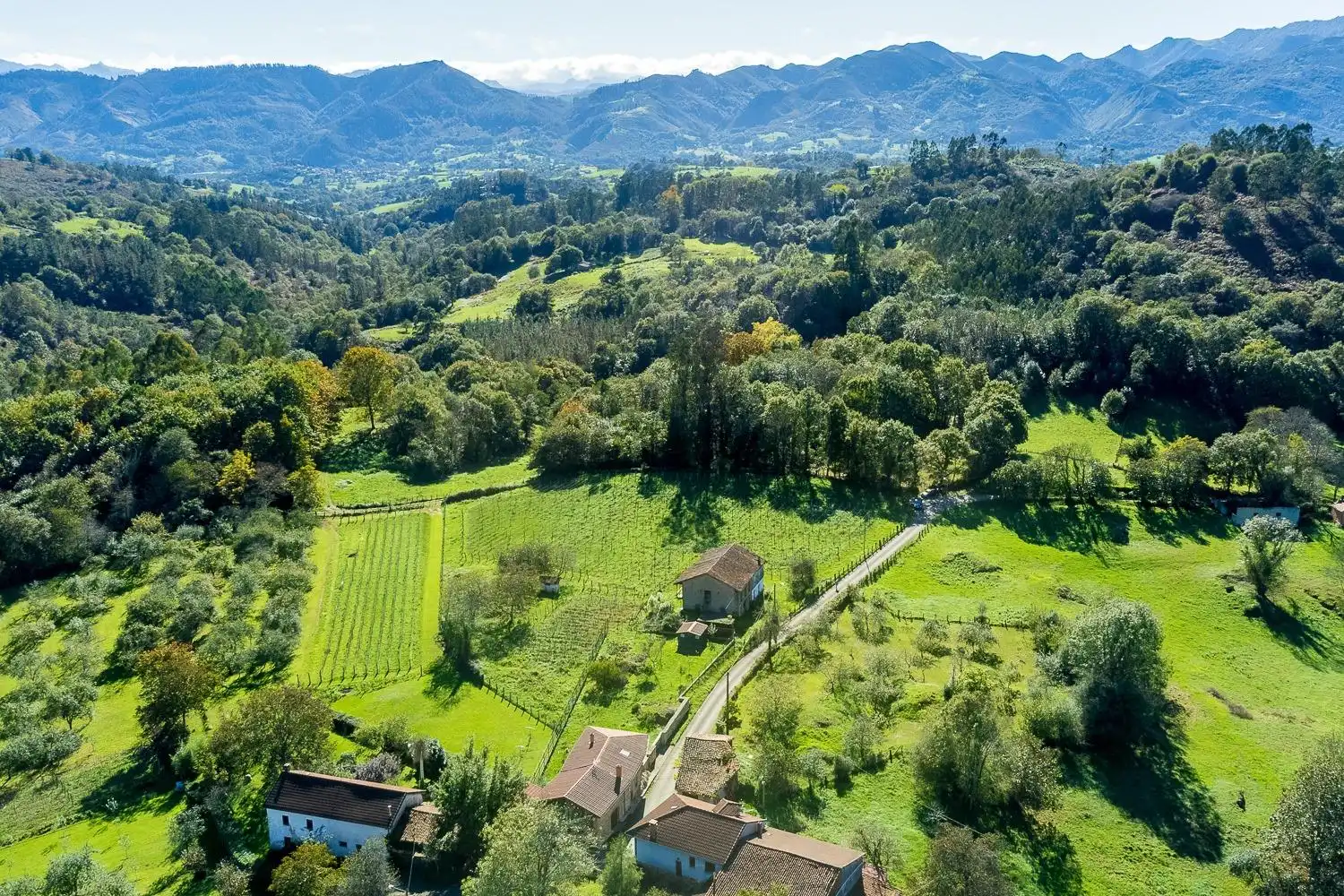 Terreny residencial en venda a Lugar ALDEA CESA 201, imagen 8