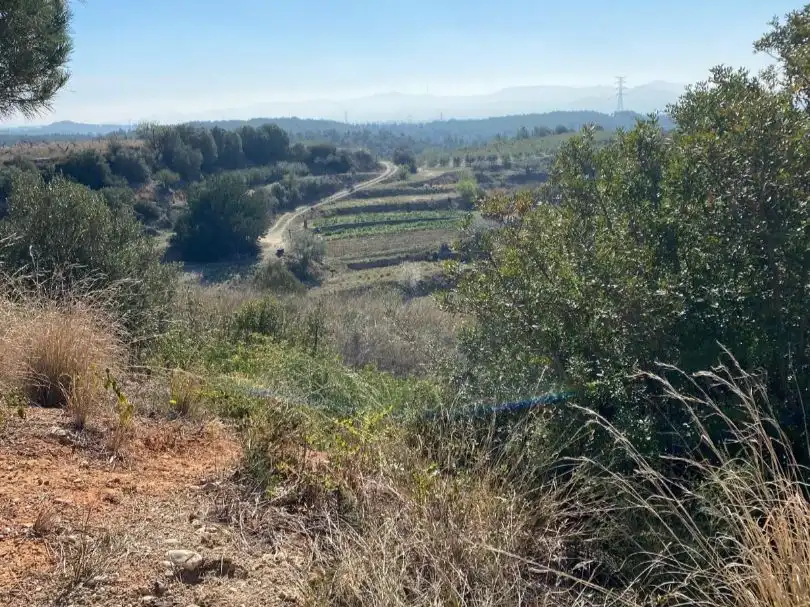 Terreny residencial en venda a Turó de Can Palet 63, imagen 7