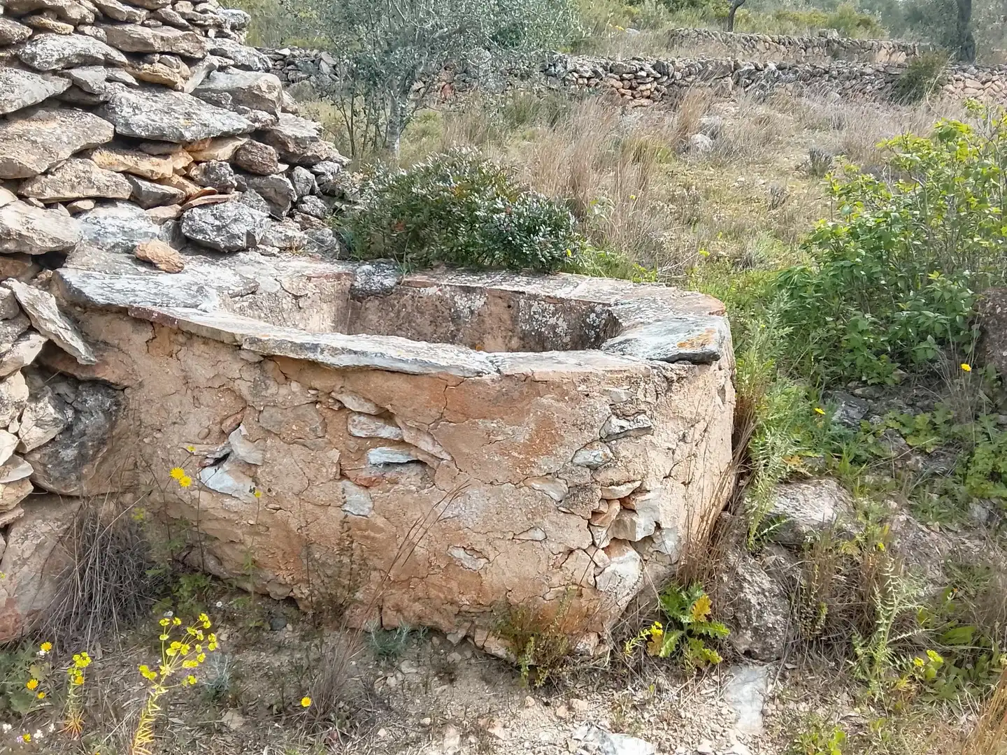 Casa rustica in vendita a Polígono 56 Paraje 586 PLANA DEL LLORELL, imagen 13