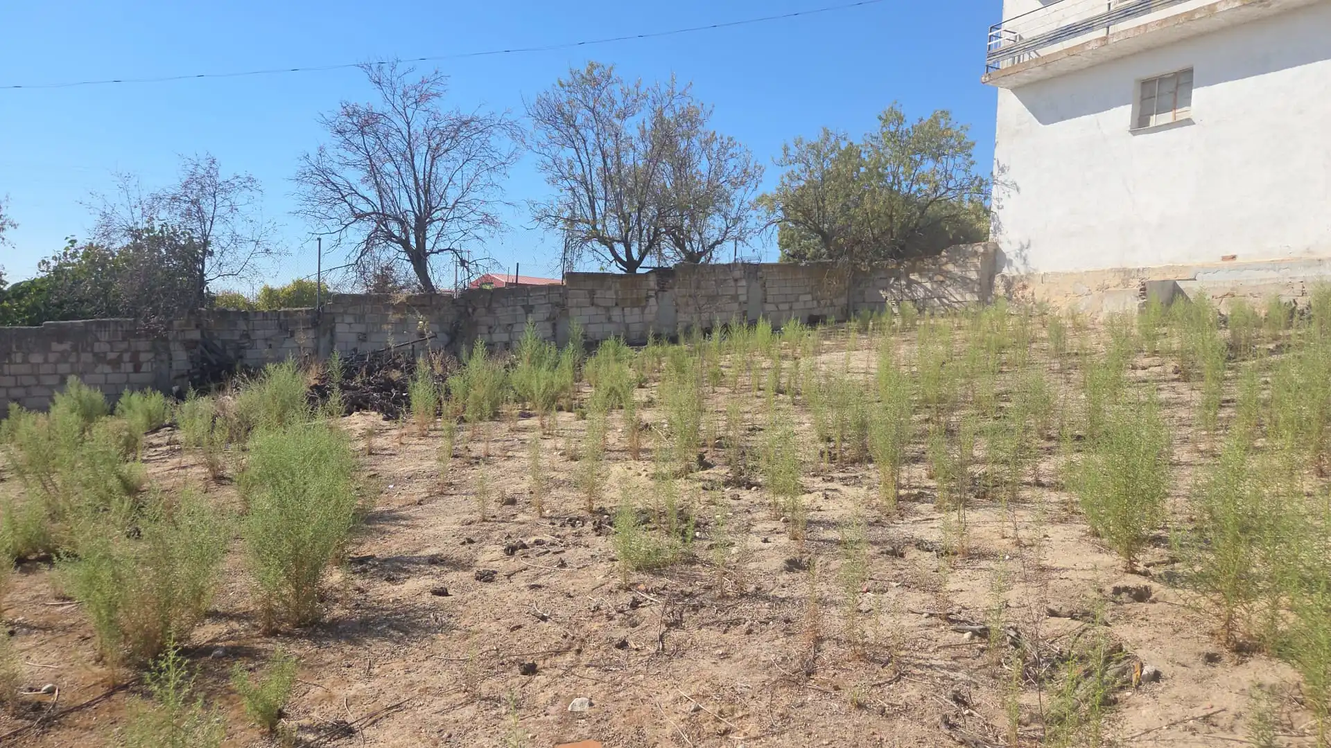 Casa o xalet en venda en Navalcarnero