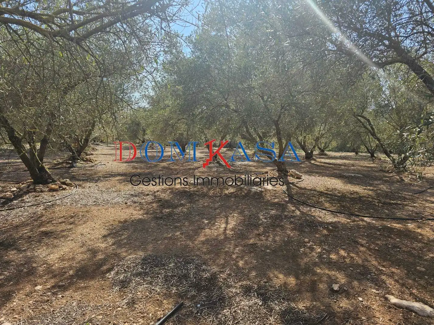 Rural land for sale in Roquetes, imagen 15