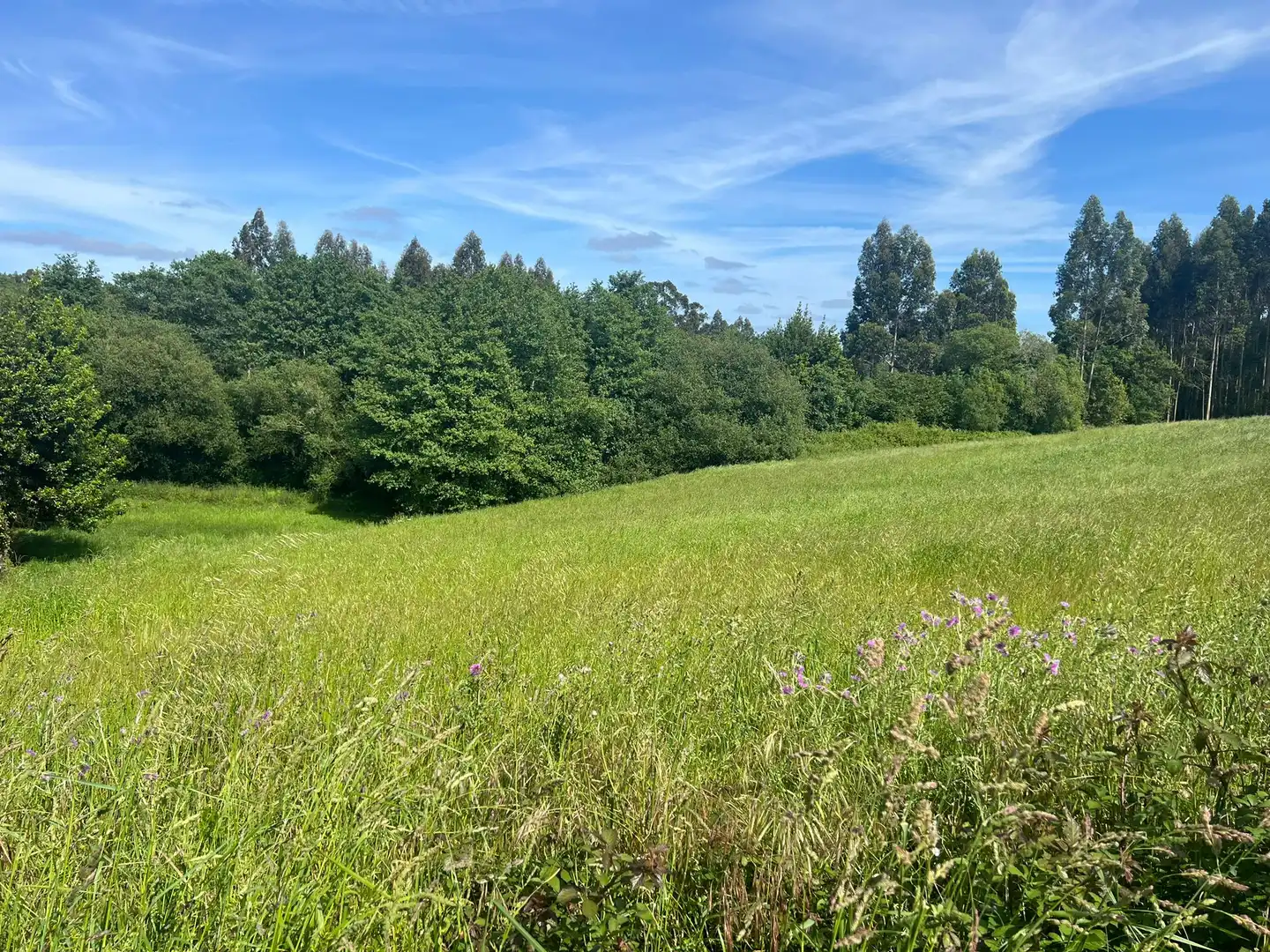 Terreno residenziale in vendita a Miño, imagen 6