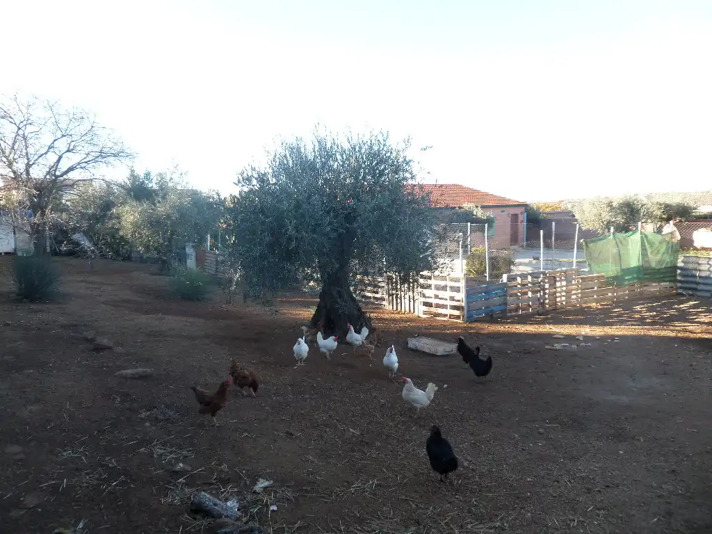 Terreni e lotti in vendita a Calle Gardenia, imagen 6